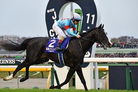 Equinox wins the Japan Cup at Tokyo Racecourse