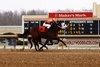 Oh Glorious Day, Maiden win, Mahoning Valley Race Course, November 28 2023