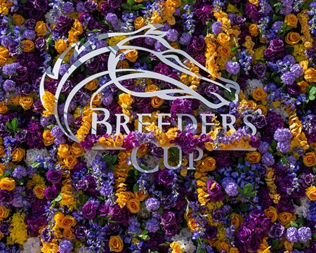 Where Is The Breeders Cup 2025