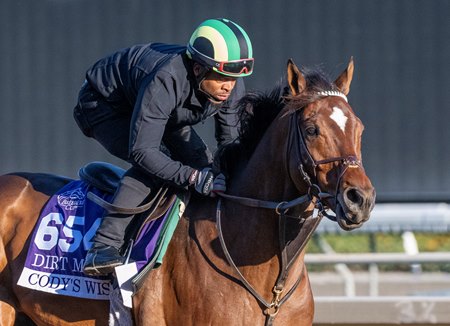 Cody's Wish - Racehorse Cody's Wish - Racehorse