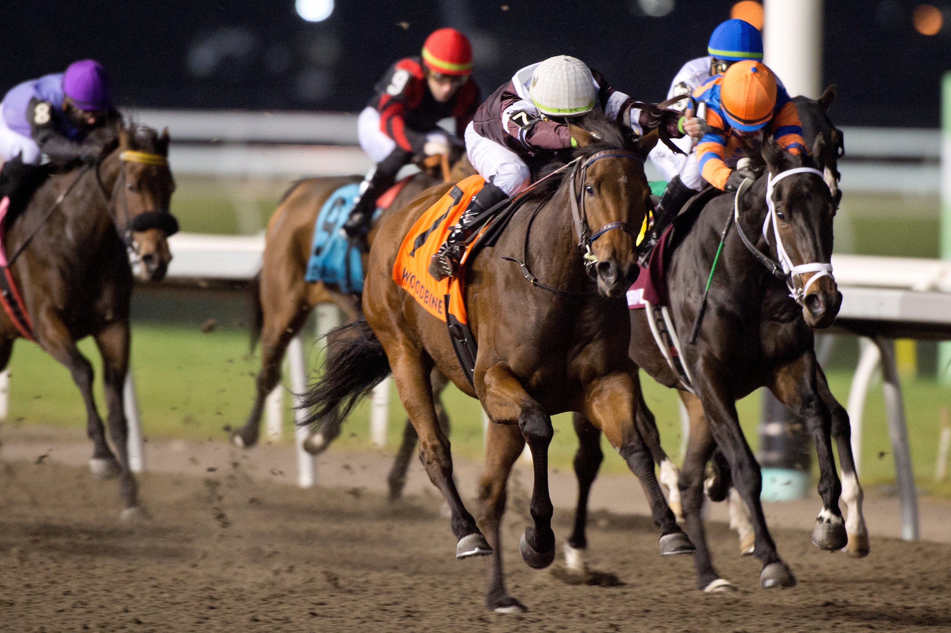 Two Graded Stakes Races In Canada Downgraded For 2024 BloodHorse   4926db81c58e4724a80ca7009078625e 