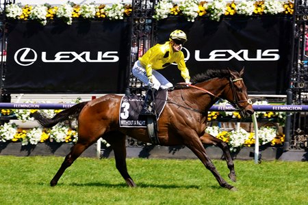 Without A Fight wins the Melbourne Cup at Flemington Racecourse