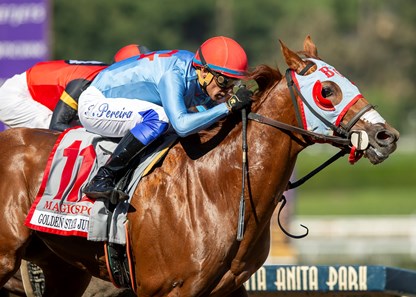 Magic Spoon - Horse Profile - BloodHorse