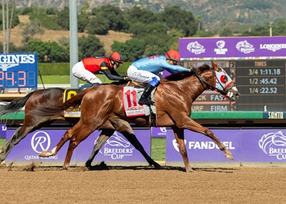 Magic Spoon - Horse Profile - BloodHorse