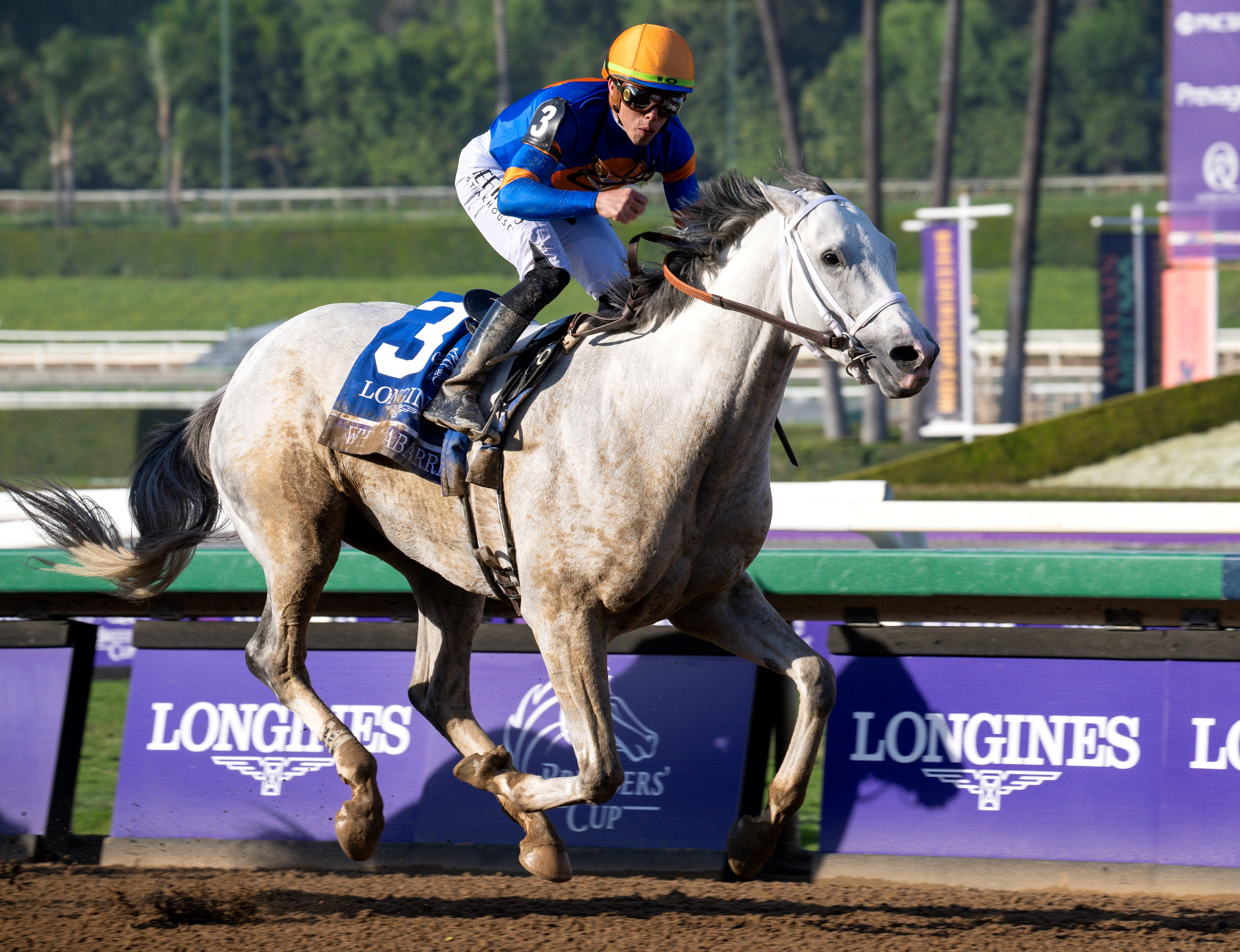 White Abarrio Scores Decisively in BC Classic BloodHorse