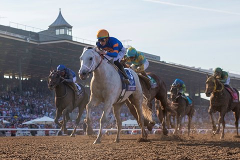 Race for 3-Year-Old Title Could Go Down to the Wire - BloodHorse