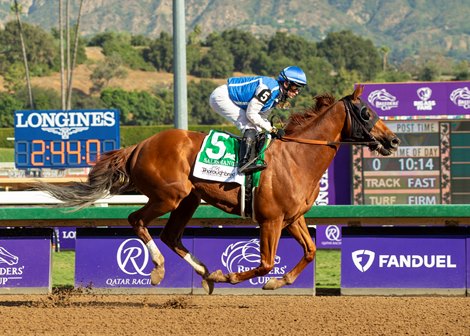 Salesman Shopping for Another Graded Win in Cougar II