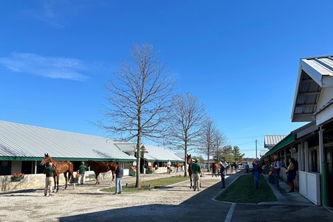 Keeneland Catalogs 3,373 Horses for November Sale