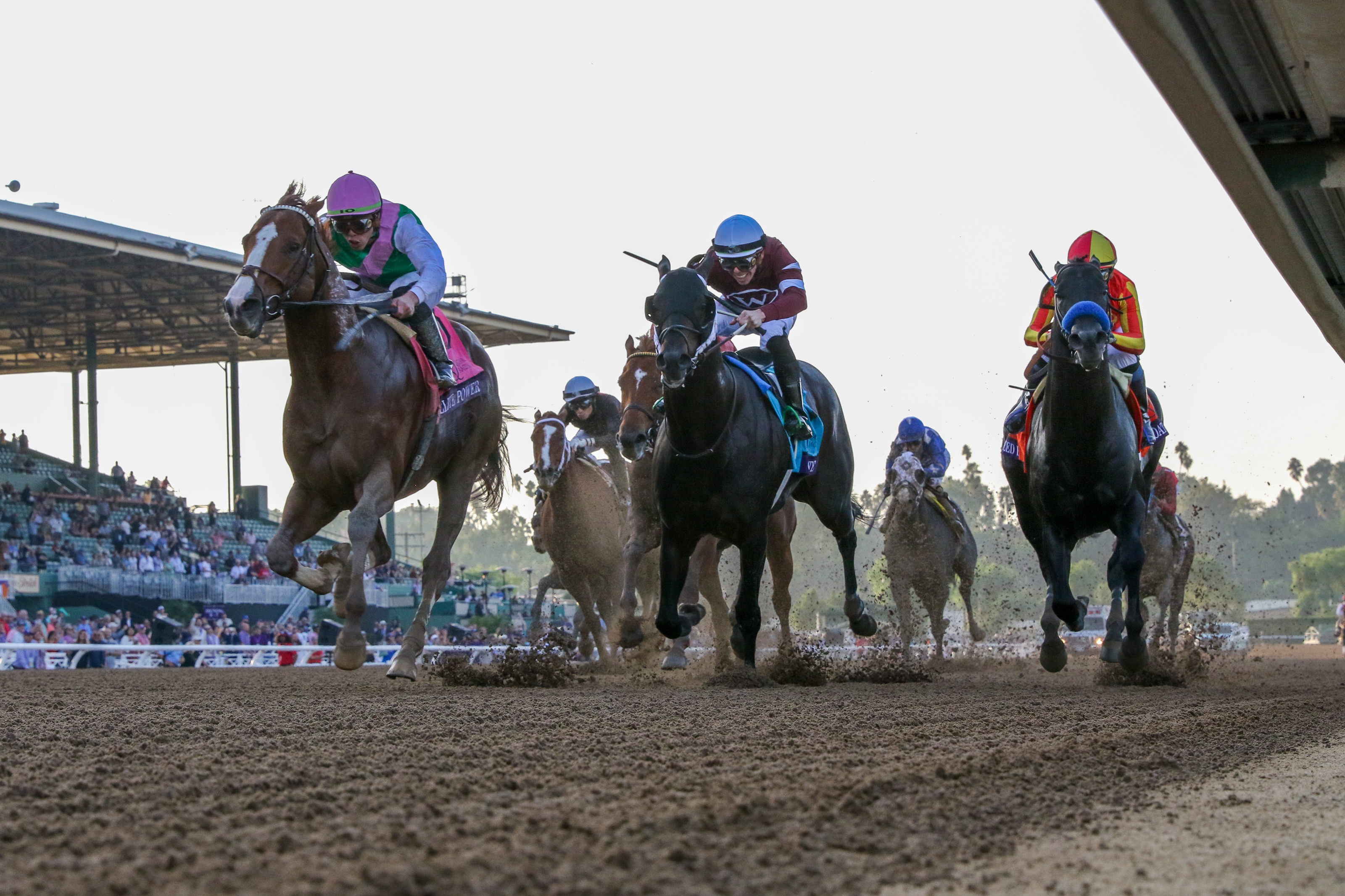 Ten Facts About 2024 Breeders' Cup Challenge Series - BloodHorse