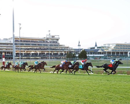 Turf racing last fall in the 2023 River City Stakes at Churchill Downs