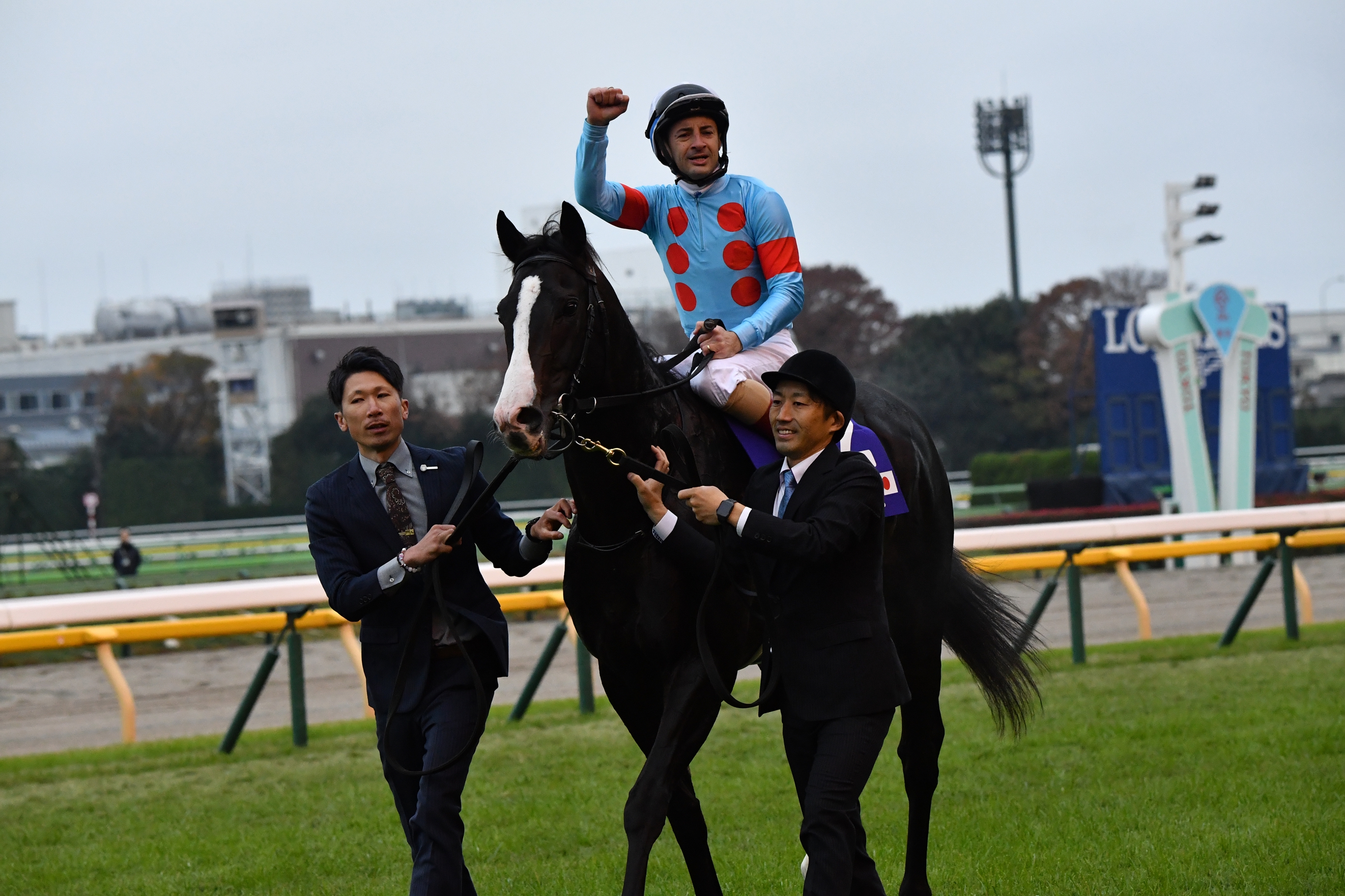 イクイノックス　ジャパンカップ ジャパンカップ(G1) 結果・払戻 | 2023年11月26日 東京12R