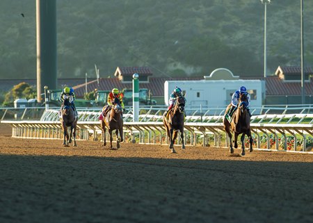 Nysos defeats several foes in the Bob Hope Stakes at Del Mar