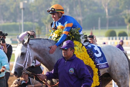 White Abarrio following his win in the 2023 Breeders' Cup Classic at Santa Anita Park