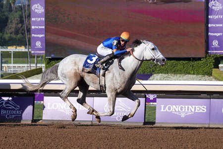 White Abarrio wins the 2023 Breeders' Cup Classic at Santa Anita Park