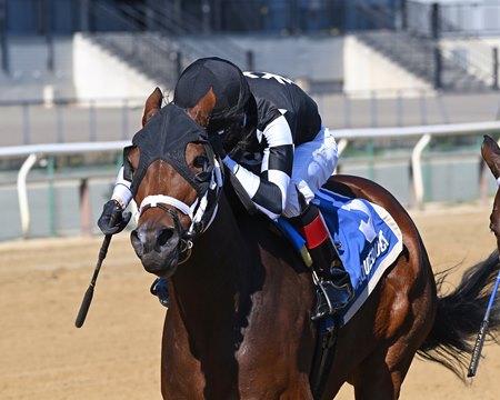 Interstatedaydream wins the Turnback the Alarm Stakes at Aqueduct Racetrack