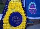 Breeders&#39; Cup blanket and sheet outside the White Abarrio stall. 
Morning after the Breeders’ Cup on Nov. 5, 2023, with White Abarrio and connections at the barn. 





