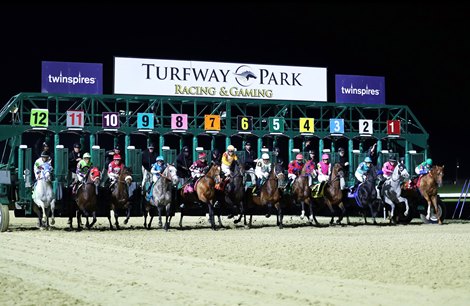 Turfway Park Holiday Meet Features Record Purses