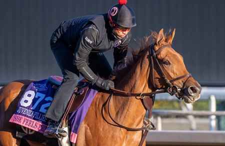 She Feels Pretty trains Nov. 2 at Santa Anita Park