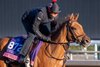 She Feels Pretty on track Thursday Nov.2, 2023 in preparation for the 40th running of the Breeders’ Cup Championships which will occur Friday and Saturday at Santa Anita Race Track in Arcadia, California.  Photo by Skip Dickstein