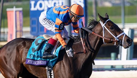 Fierceness wins the Breeders' Cup Juvenile at Santa Anita Park