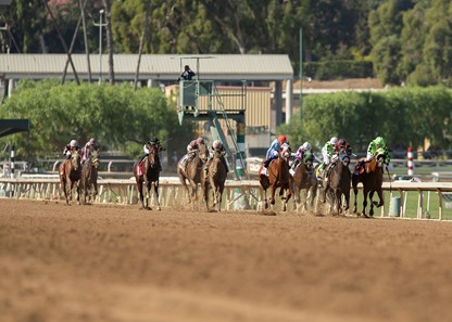 Magic Spoon - Horse Profile - BloodHorse