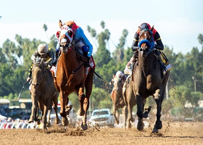Magic Spoon - Horse Profile - BloodHorse