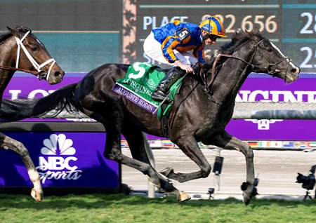 Auguste Rodin wins the 2023 Breeders' Cup Turf at Santa Anita Park