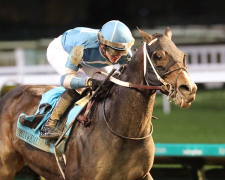 Gigante wins the 2023 Commonwealth Turf Stakes at Churchill Downs 