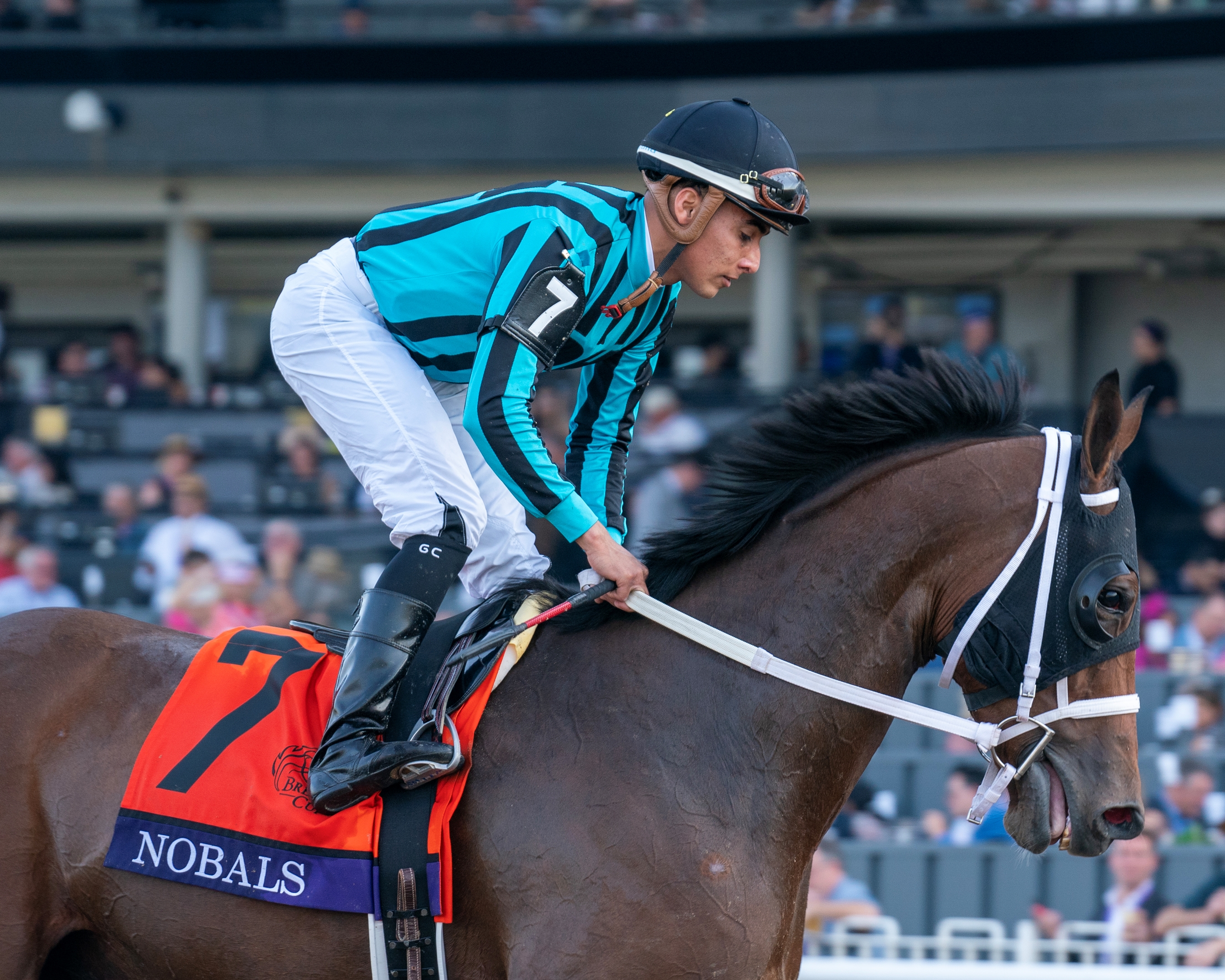 Breeders' Cup Turf Sprint (G1T): Nobals - BloodHorse