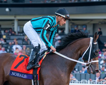 Nobals after his victory in the 2023 Breeders' Cup Turf Sprint at Santa Anita Park