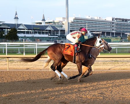 Just Steel warming up before winning the Ed Brown Stakes at Churchill Downs