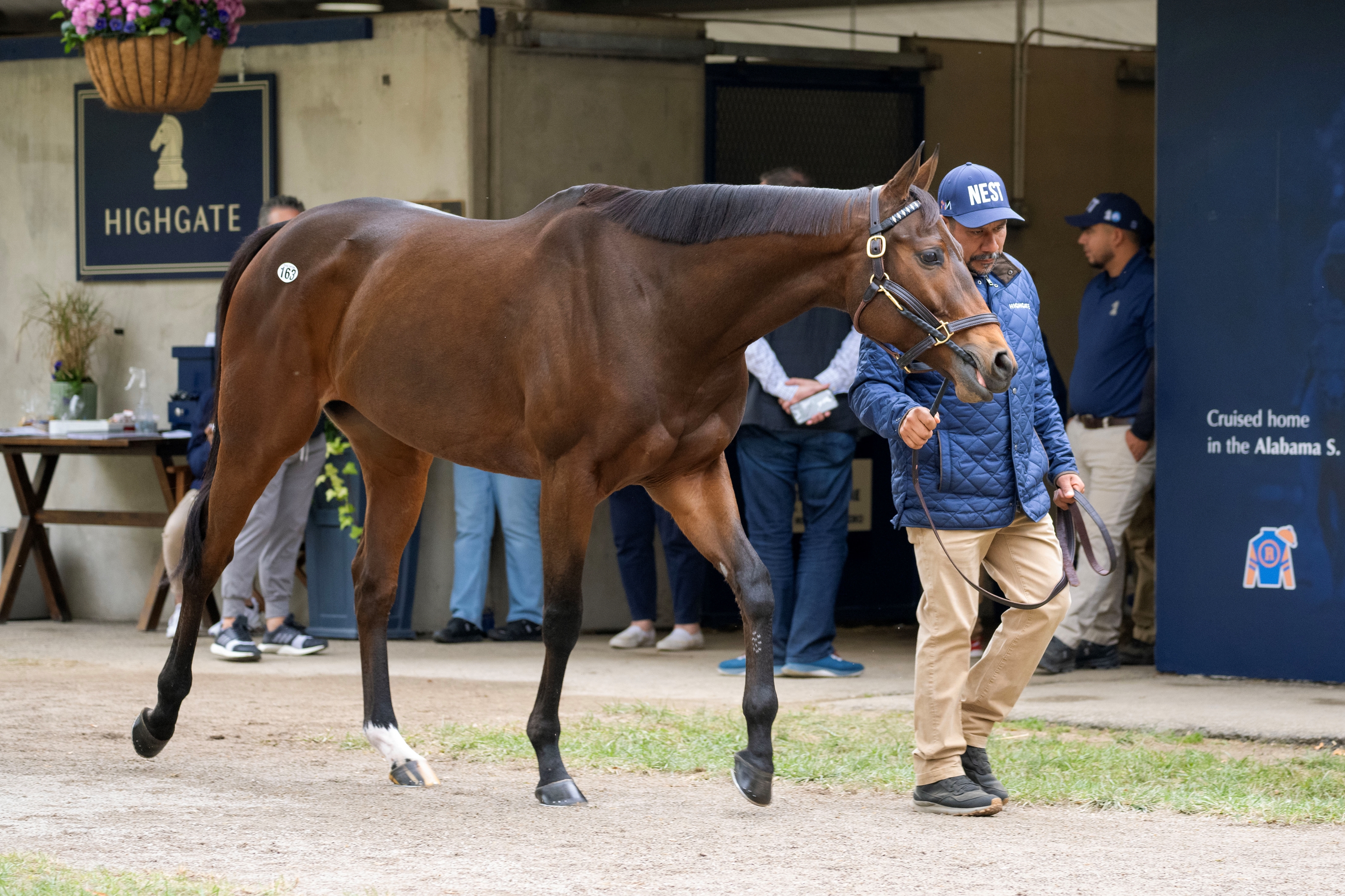 Nest - Horse Profile - BloodHorse