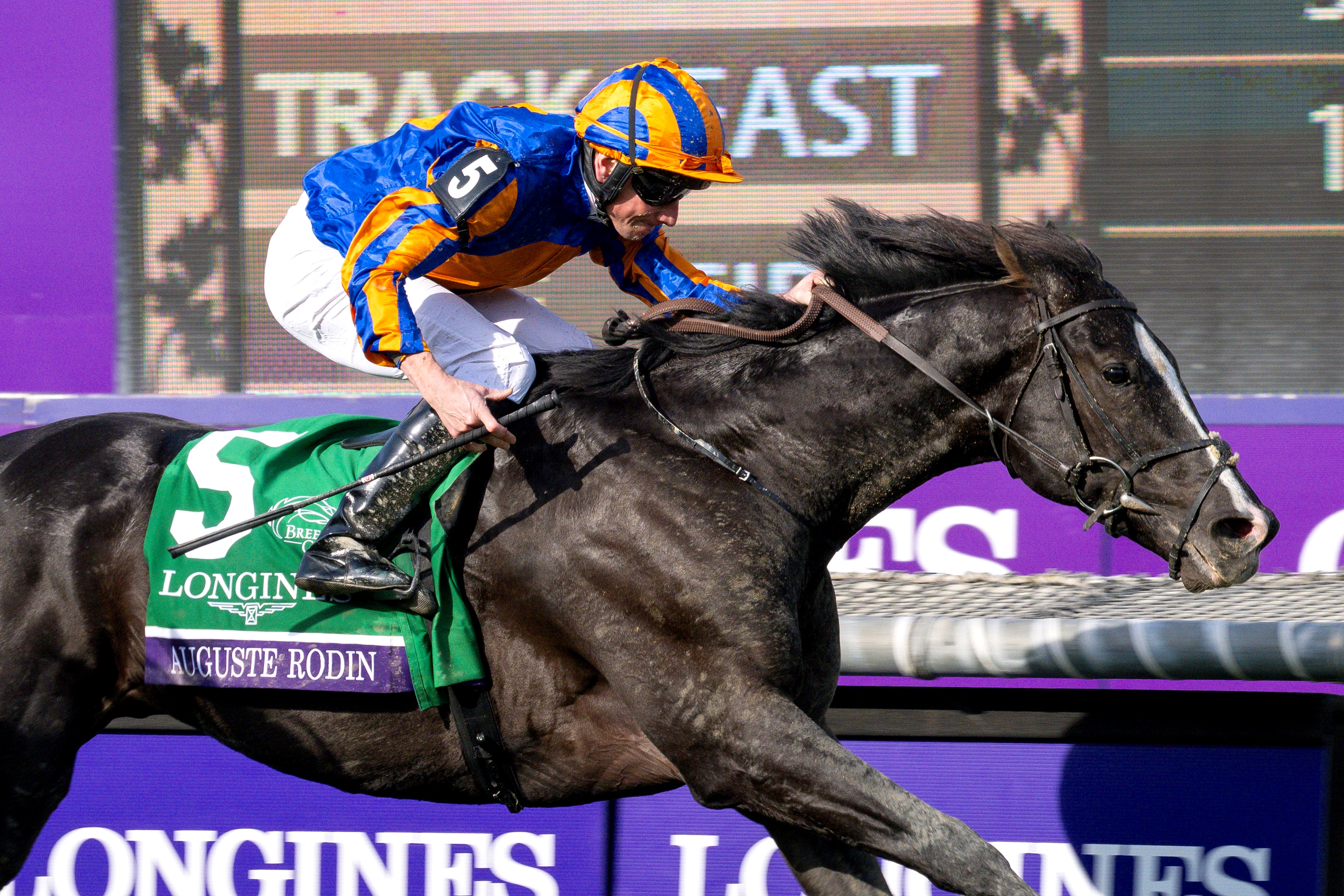 Auguste Rodin Finds a Way in Breeders Cup Turf BloodHorse