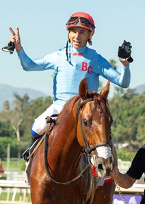 Magic Spoon - Horse Profile - BloodHorse