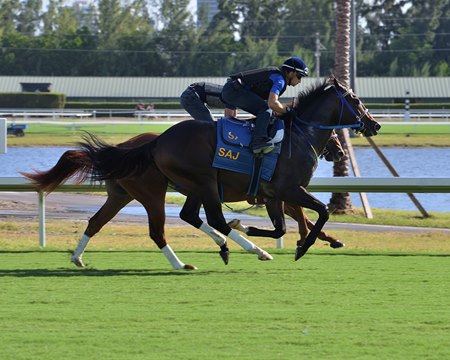 Saffie Joseph Jr.-trained horses work a half-mile the morning of Nov. 27 at Gulfstream Park