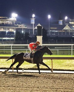 Kentucky Derby pedigree profile: Honor Marie