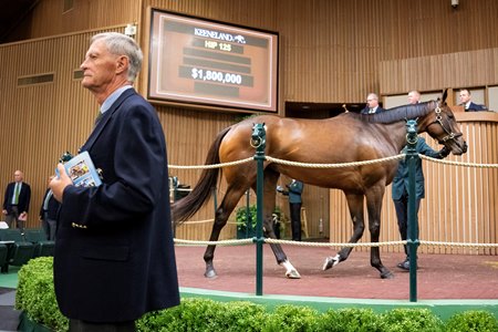 Skims in the sales ring at Keeneland