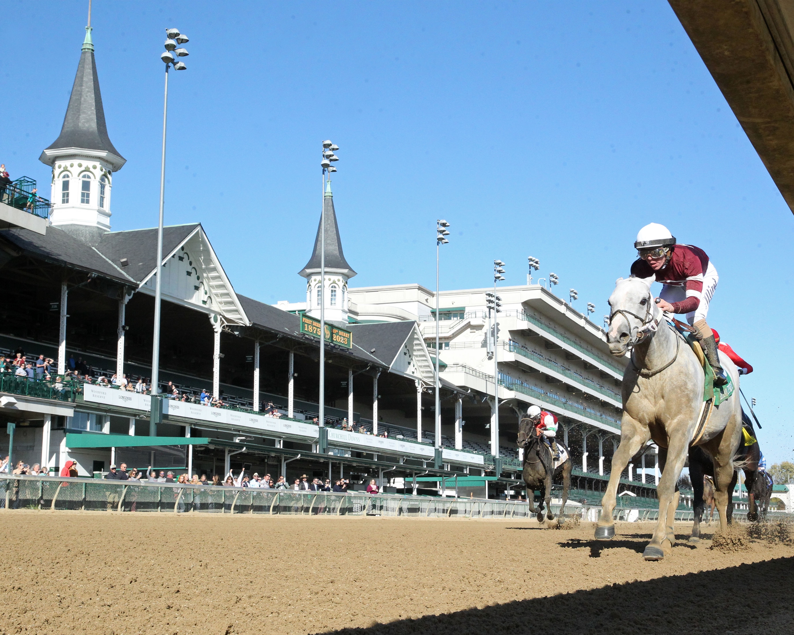 Wicked Halo - Horse Profile - BloodHorse