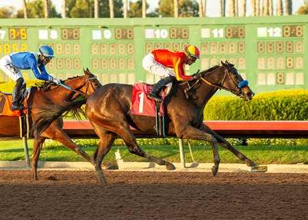 Midnight Memories wins the 2023 Bayakoa Stakes at Santa Anita Park