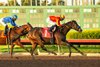 Midnight Memories and jockey Juan Hernandez, right, outleg Desert Dawn (Hector Berrios), left, to win the G3, $100,000 Bayakoa Stakes, Friday, December 15, 2023 at Los Alamitos Race Course, Cypress CA.
&#169; BENOIT PHOTO