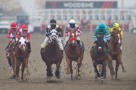 Heat Forces Woodbine to Push Back June 20 Start