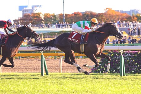 Strauss wins the 2023 Tokyo Sports Hai Nisai Stakes at Tokyo Racecourse