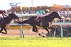 Strauss wins the Tokyo Sports Hai Nisai Stakes at Tokyo Racecourse