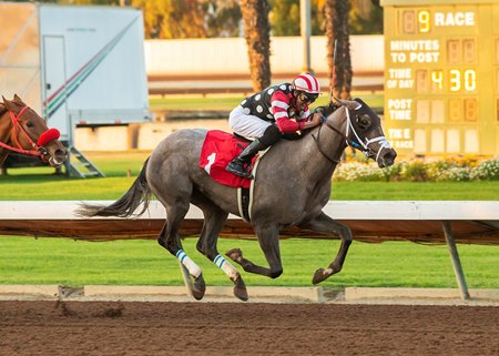 Madison Rae wins the Dec. 10 Soviet Problem Stakes at Los Alamitos Race Course