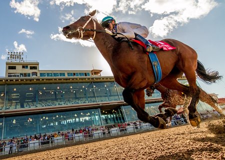 Touchuponastar wins the 2023 Louisiana Champions Day Classic Stakes at Fair Grounds