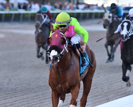 Sibelius wins the 2023 Mr. Prospector Stakes at Gulfstream Park