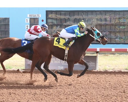 Aye Candy wins her debut at Zia Park