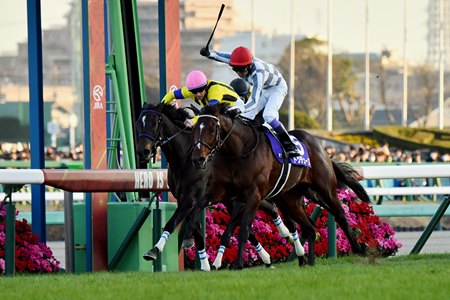Do Deuce wins the Arima Kinen at Nakayama Racecourse