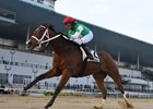 Dr B wins the 2023 Go for Wand Stakes at Aqueduct