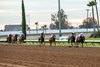 Last Call London and jockey Juan Hernandez, second from right, win the $100,000 King Glorious Stakes, Sunday, December 17, 2023 at Los Alamitos Race Course, Cypress CA.
&#169; BENOIT PHOTO